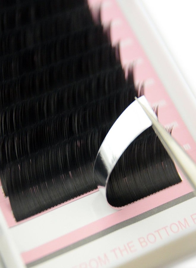 Qeelasee Matte Mink Flat Eyelash Extension 0.25 C Curl 14mm Ellipse Eyelashes False Mink Individual Eyelash Extension Professional Salon Used by Qeelasee - Image 2